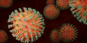355 de cazuri noi de persoane infectate cu SARS-COV 2