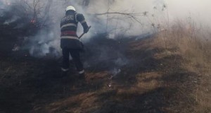 Pompierii militari și voluntari din Botoșani au intervenit, ieri și azi, pentru stingerea a șase incendii de vegetație uscată