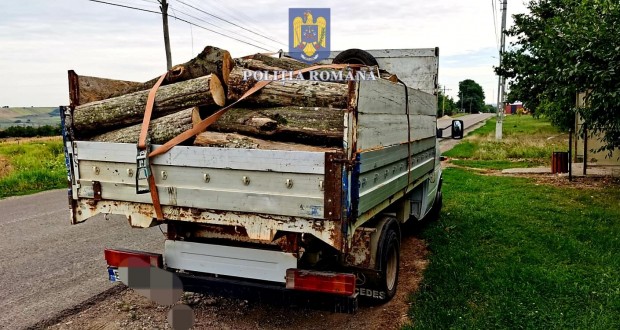 Material lemnos transportat de un sucevean, confiscat la Mihăileni