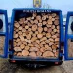 Material lemnos, confiscat la Dersca