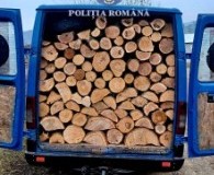Material lemnos confiscat la Havârna