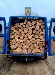Sancțiune de 2.000 de lei și material lemnos confiscat